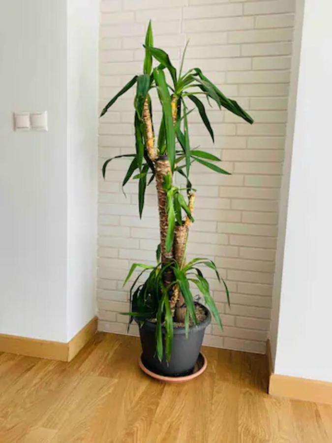 Puerto Banus Apartment Марбеля Екстериор снимка