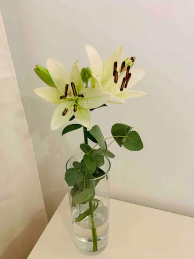 Puerto Banus Apartment Марбеля Екстериор снимка